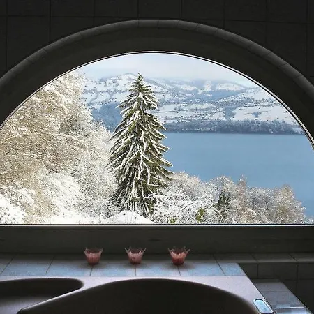 Sleeps 12 Wifi Spiez